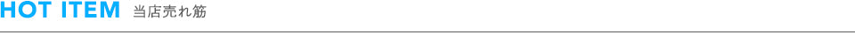 HOT ITEM 当店売れ筋