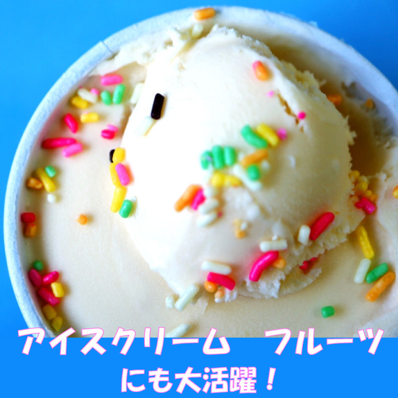 紙丼 500ml 本体のみ 蓋なし(100枚入)アイスクリームカップ デザートカップ 使い捨て紙容器 エコパック 紙パック 使い捨てパック 持ち帰りパック 燃える容器 弁当パック 弁当容器 テイクアウト