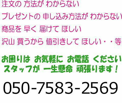 100%点灯保証! 送料無料条件付 業務用 防水屋外用 【HP-白-球】 ハイパープロ ストレート型100球 ホワイト 白色 追加延長球のみ(電源コンセント無)この商品のみでは点灯しません 延長連結型 イルミネーションLED イルミネーション クリスマスライト